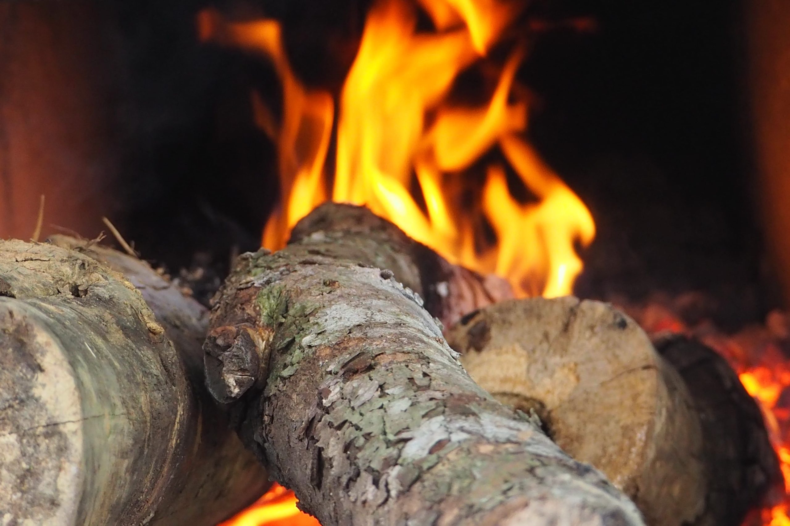 kiln dried burning logs
